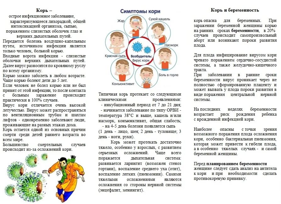 Корь 2025 год. Памятка по профилактике кори. gfvznrf ghj rjhm. корь профилактика. корь памятка.