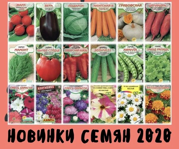 Семена в иркутске купить