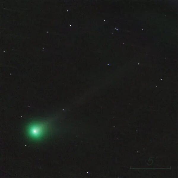 В какое время можно увидеть комету
