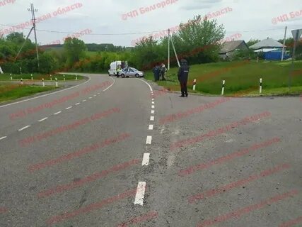 Погода илек пеньковка белгородская
