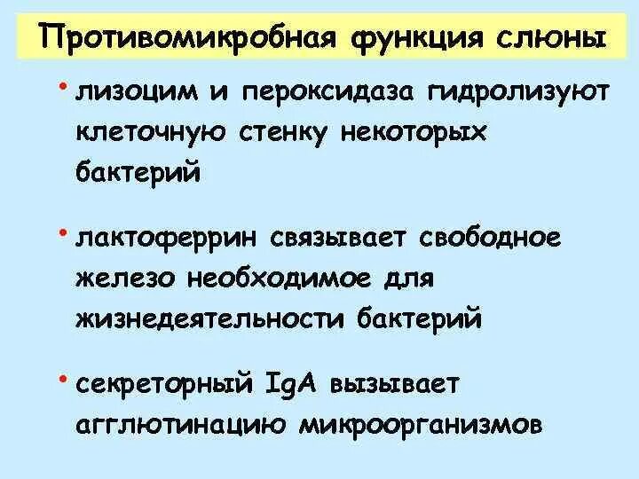 Лизоцим функции. Лизоцим в слюне функция. Функция лизоцима слюны человека. Функции слюны.