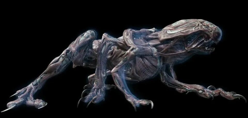 Джейден смит после нашей эры. Урса after earth. Урса after earth. Урса after earth. После нашей эры монстр.