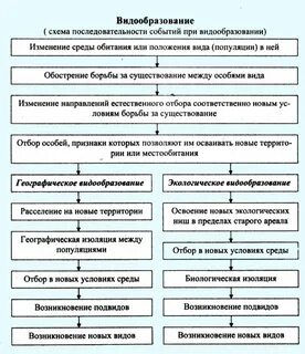 Видообразование биология 11 класс конспект урока
