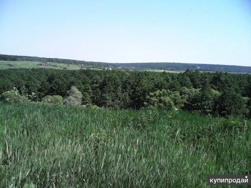 Село вислое белгородской. Вислое белгородская область. Село вислое белгородской. Село вислое белгородской. Село вислое.