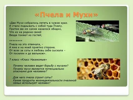 Есть люди пчелы и люди