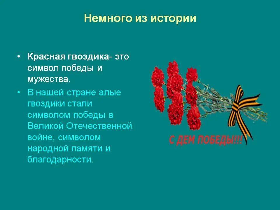 Гвоздика стих. Красная гвоздика символ Победы. Гвоздика символ Победы. Гвоздика символ Победы в Великой Отечественной. День Победы красные гвоздики презентация.