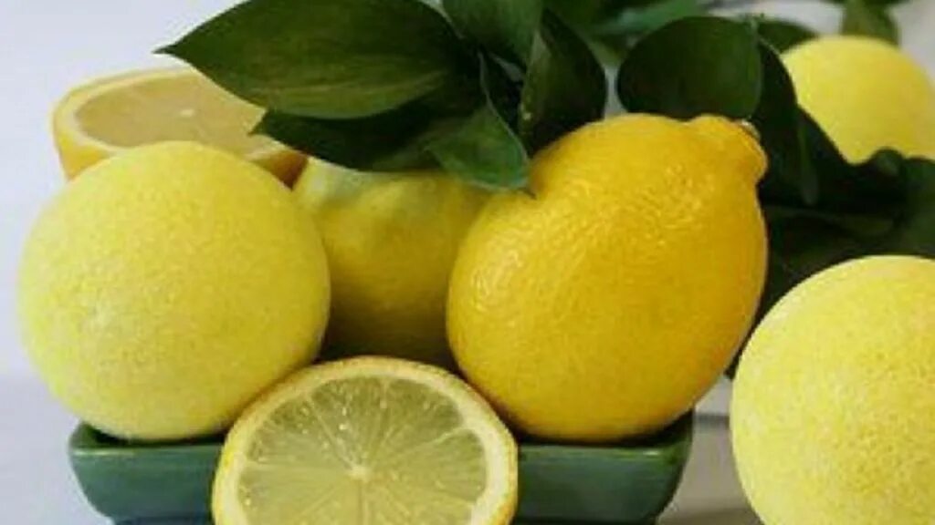 Как сохранить лимоны на длительное. Лимон Аркобалено. Лимон фото. Лимон на белом фоне. Лимон пополам.