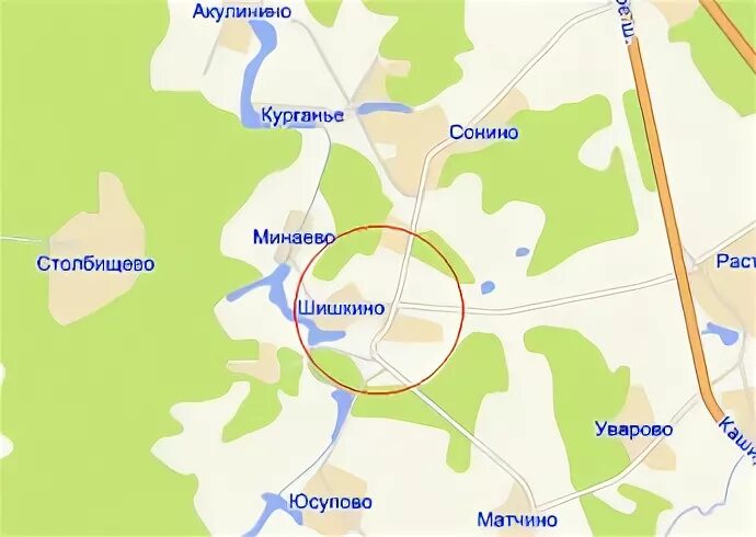 Домодедово деревня шишкино
