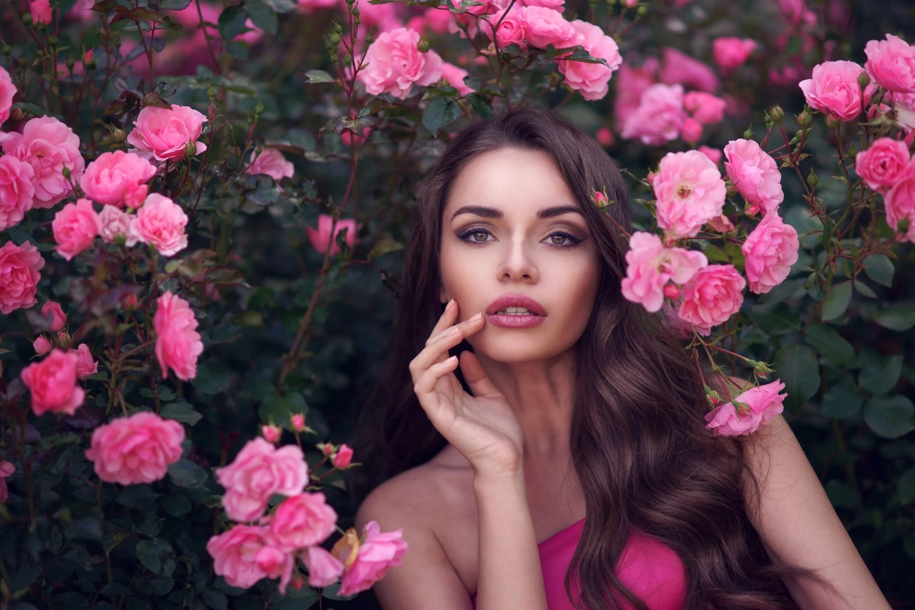 Девушка с розой. Девушка в цветах. Девушка с розовыми розами. Брюнетка в цветах. Charming woman
