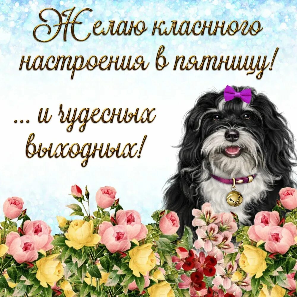 Доброе утро пятницы отличного настроения. Открытки с пятницей. хороших выходных открытки. пожелания хорошего настроения. хорошего дня и отличного настроения.