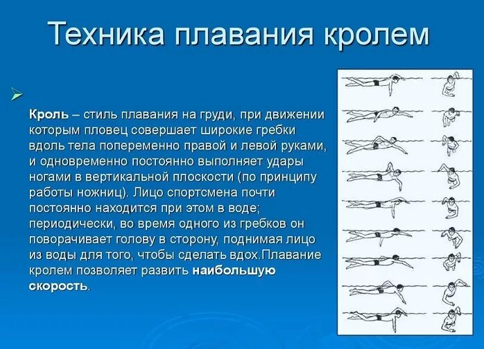 Плавание кролем пошагово. Техники плавания кролем для начинающих. Стиль плавания Кроль техника. Плавание кролем техника выполнения. Техника плавания способом Кроль на груди движение ногами.