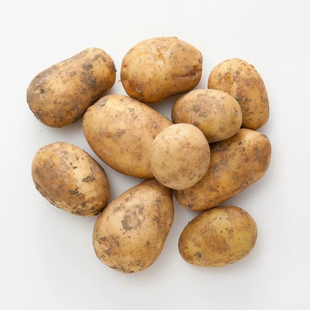 Картофель россия отзывы. Картофель Россия 2.3-2.5 кг. Картошка в самокате отзывы.