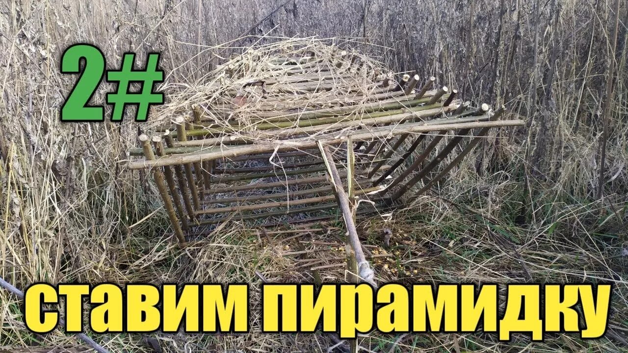 Чертежи ловушки фазана. ЛОВУШКА для фазана пирамида. ЛОВУШКА на фазана. ЛОВУШКА на фазана ящик. ЛОВУШКА ЛОВУШКА для фазанов