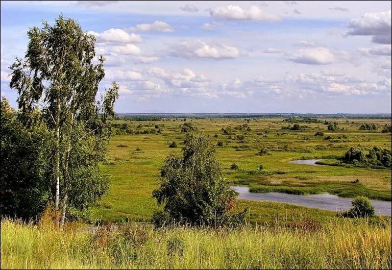 Земная поверхность Курской области. Родной край Курская область. Природа Курского края. Поверхность края. Русь сердцу дорога