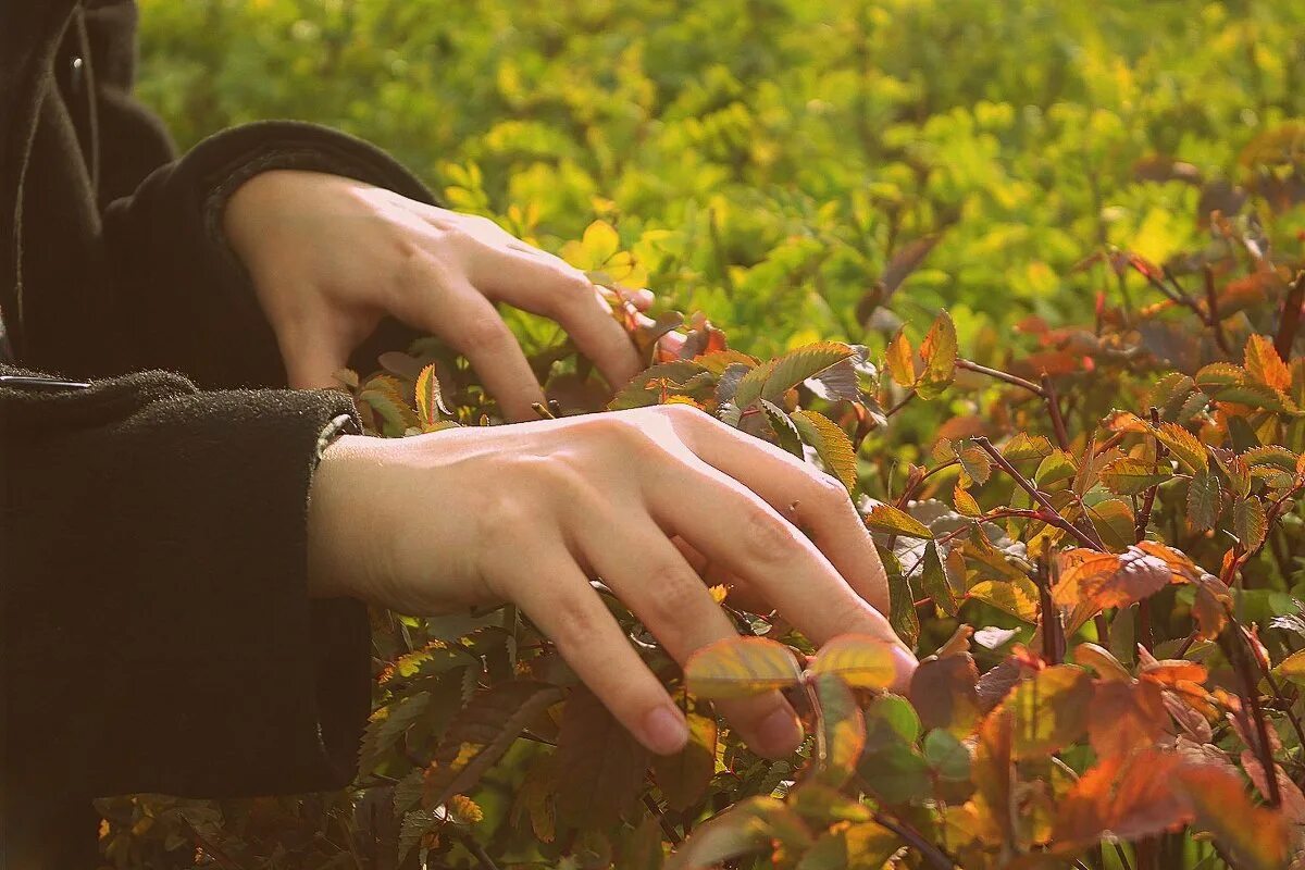 Девушка с осенними листьями. Осеннее настроение. Девушка радуется осени. Солнечная осень люди. Почувствуй осеннюю.