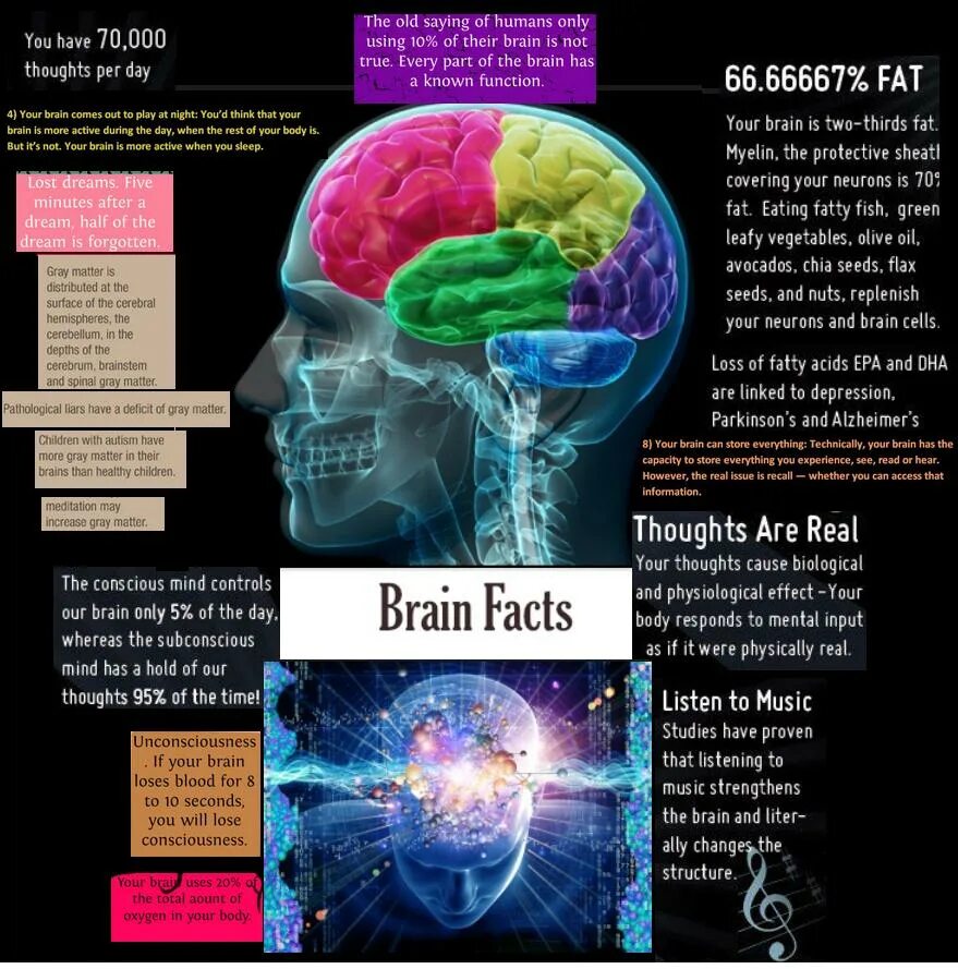 Only brains. Interesting facts about Human Brain. What is Brain. Facts about our Brain. Brain Memory facts.