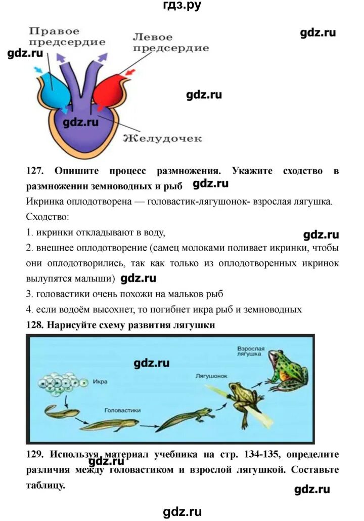 Гдз по биологии 8 класс Сонин Захаров. ТПО 8 класс Захаров биология. Гдз по биологии 8 класс рабочая тетрадь Захаров. Конспект по биологии 8 класс Сонин Захаров тема класс птицы. Биология 8 класс тетрадь захаров сонин