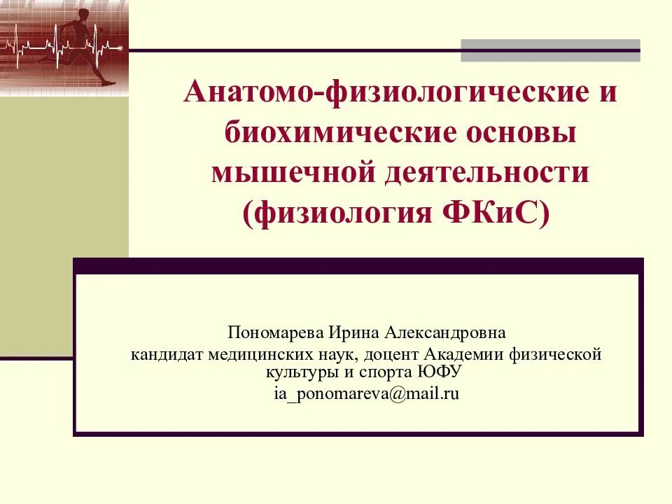 Анатомо-физиологические основы мышечной деятельности. Биохимические основы мышечной деятельности. Основы мышечной физиологии.