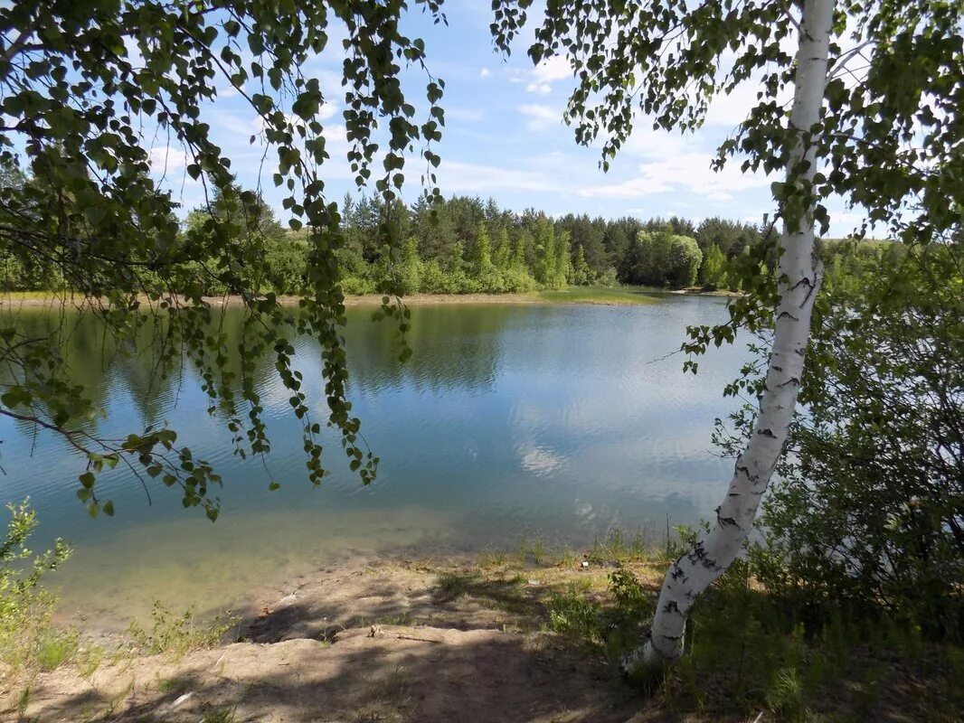 Березка нижегородская область. Озеро Березки Самара. Река Березка Тверская область. Озеро Березка Нижегородская. Речка береза Нелидово.