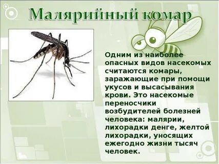 Комар какое окончание