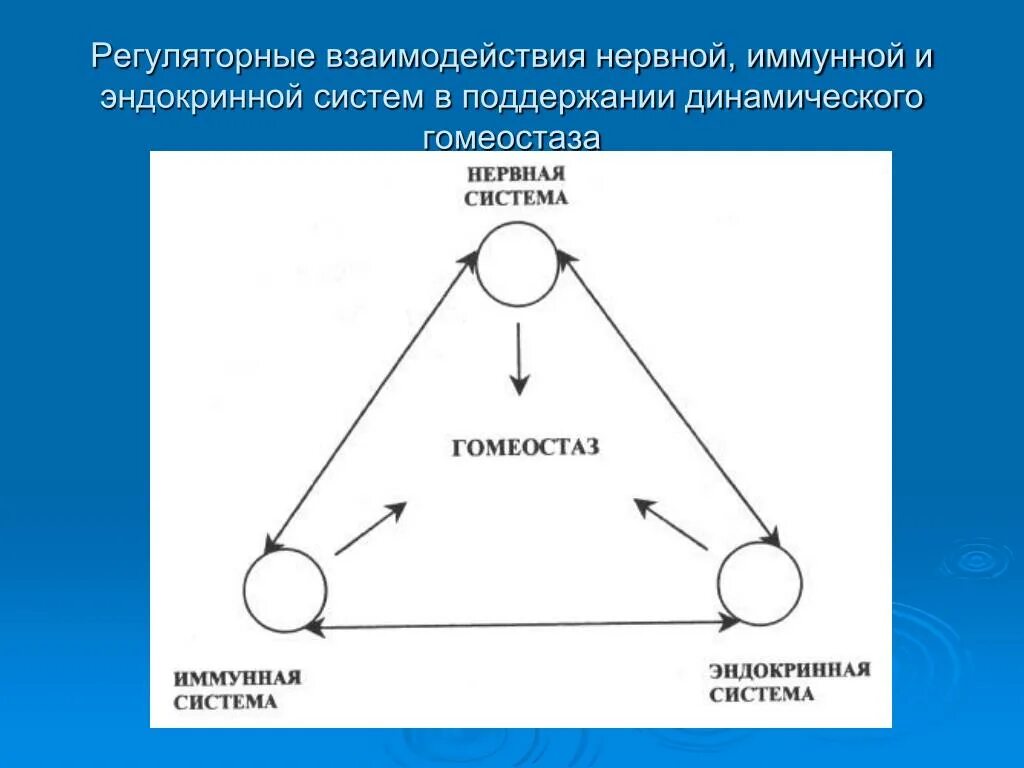 Эндокринная и иммунная система. Нервная эндокринная и иммунная системы. Взаимодействие эндокринной и иммунной систем. Схема взаимодействия нервной иммунной и эндокринной систем. Взаимосвязь иммунной и эндокринной системы.