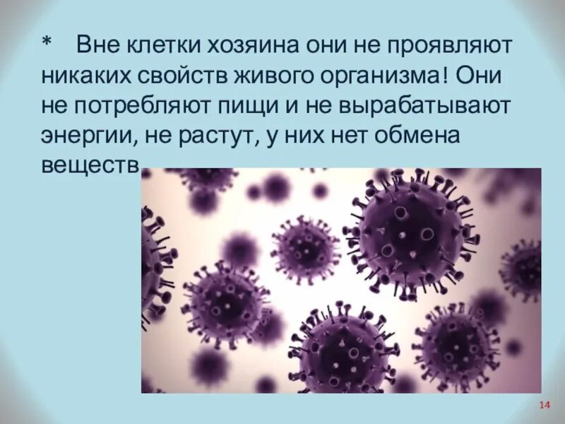 Каким основным свойством не обладают вирусы отсутствие. Вирусы вне клетки. Вирусы как живые организмы. Вирус вне клетки хозяина. Вирусы это живые организмы.