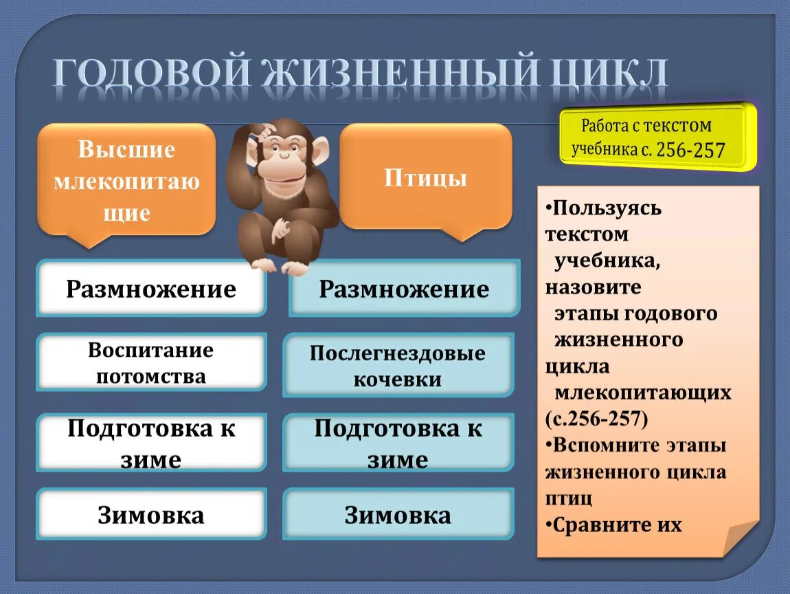 Годовой жизненный цикл. Схема годового жизненного цикла млекопитающих. Этапы годового жизненного цикла млекопитающих. Годовой жизненный цикл млекопитающих таблица.