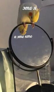 Як можно