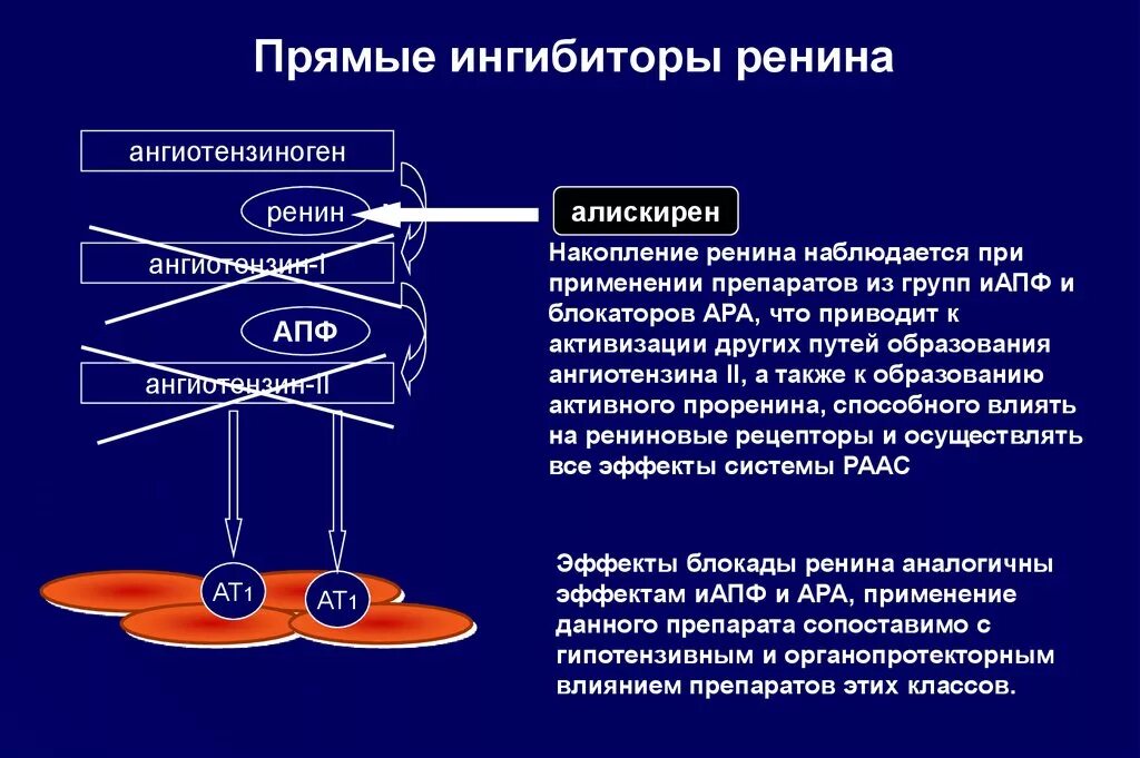 Ингибиторы ренина алискирен ингибиторы синтеза ангиотензина II. Ингибиторы ренина механизм действия. Прямой ингибитор ренина препараты. Блокаторы синтеза ренина. Прямой ингибитор