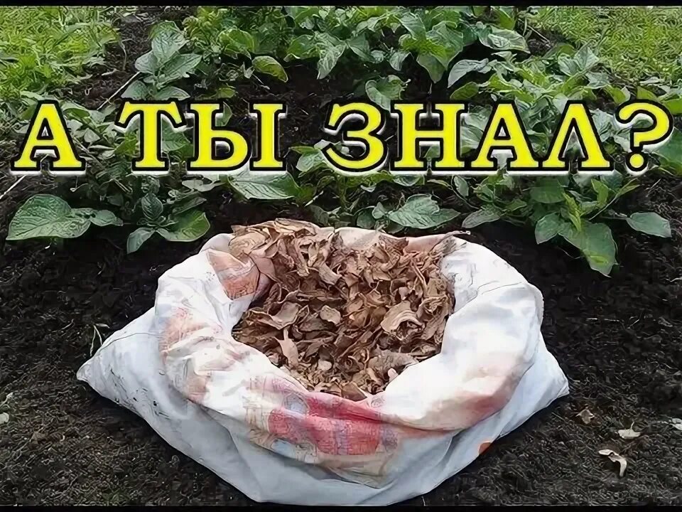 Как удобрить грядки
