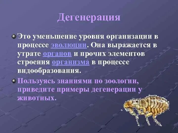 Виды дегенерации. Общая дегенерация это в биологии. Общая дегенерация примеры. Дегенерация в эволюции биология. Примеры дегенерации у животных.