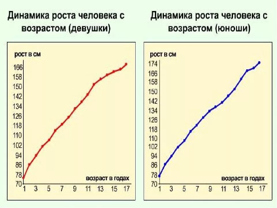 Рост людей по возрасту. Графики изменения роста. Диаграмма роста человека. График зависимости роста. Изменение роста человека с возрастом.