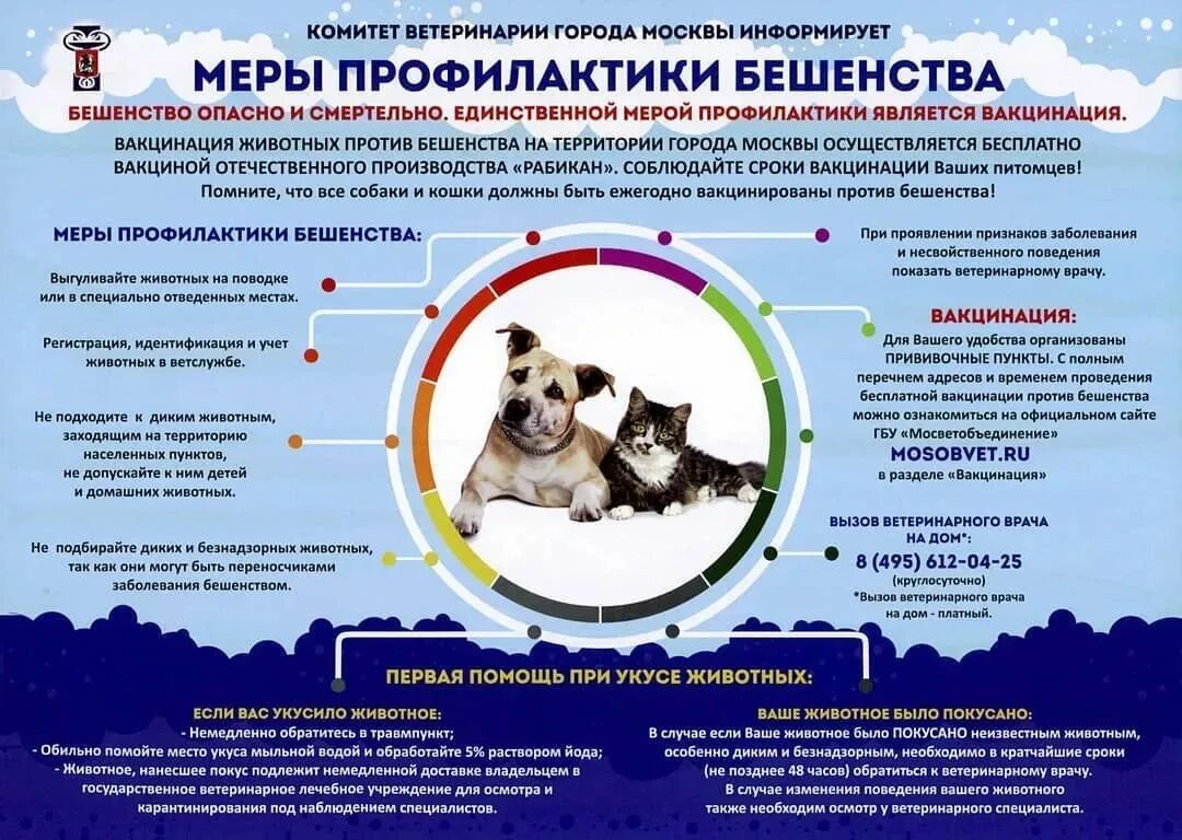 Меры профилактики бешенства. Профилактика бешенства у животных. Профилактические прививки для животных. Памятка по бешенству животных. Ответственное содержание животных