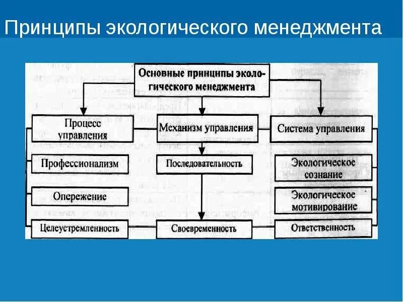 Организация экологического менеджмента. Принципы внедрения системы экологического менеджмента. Система экологического менеджмента схема. Экологический менеджмент задачи и принципы. Основы принципы экологического управления.