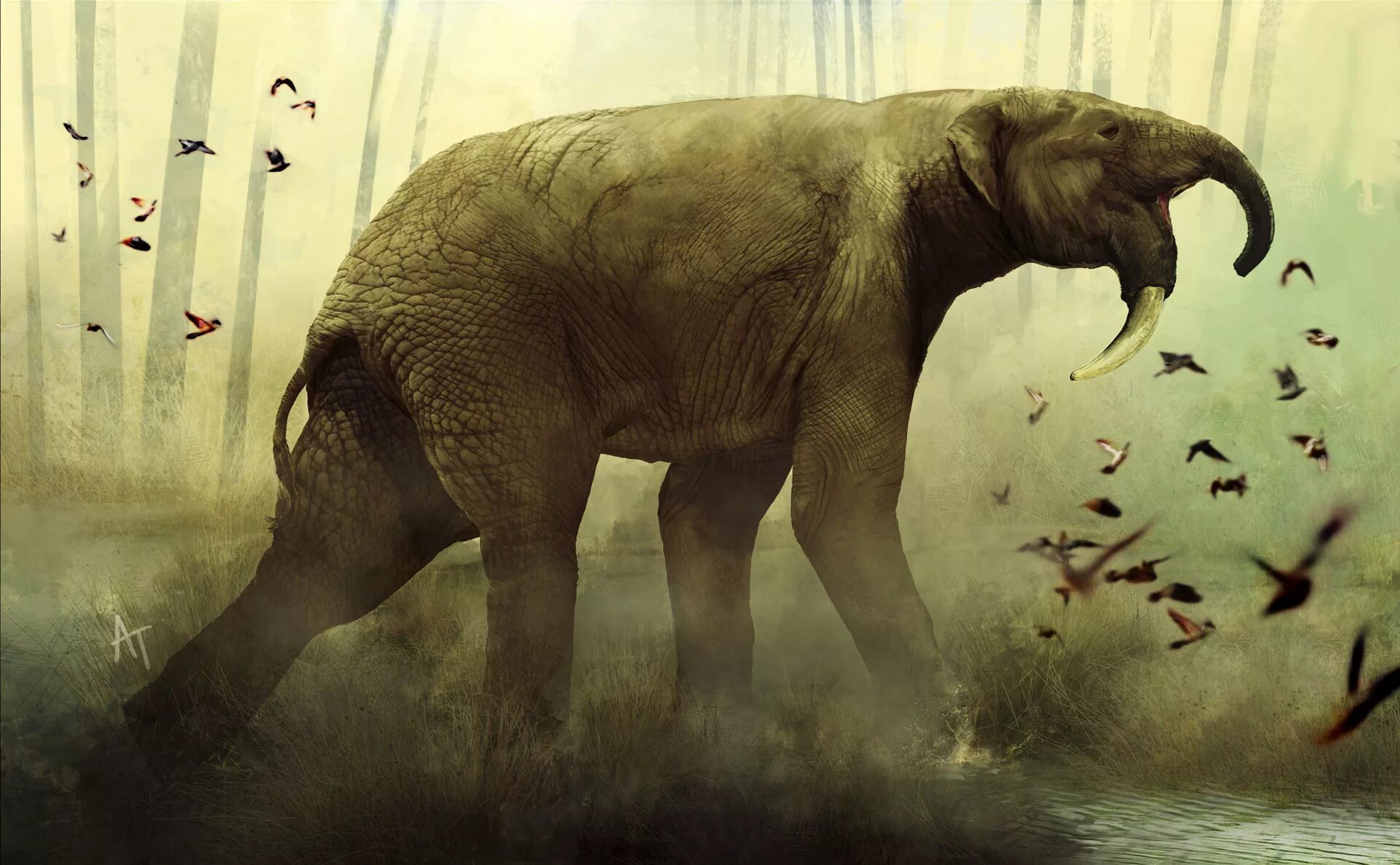 Архидискодон меридионалис. Африканские слоны. Хоботные гомфотерии. Платибелодон эра. Платибелодон эра.