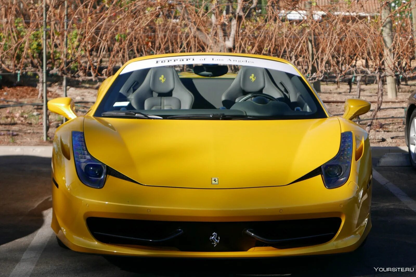 Включи желтый автомобиль. Феррари 458 Италия желтая. Ferrari 458 Italia желтая профиль. Ferrari 458 желтый кабриолет. Феррари 458 вид сбоку.