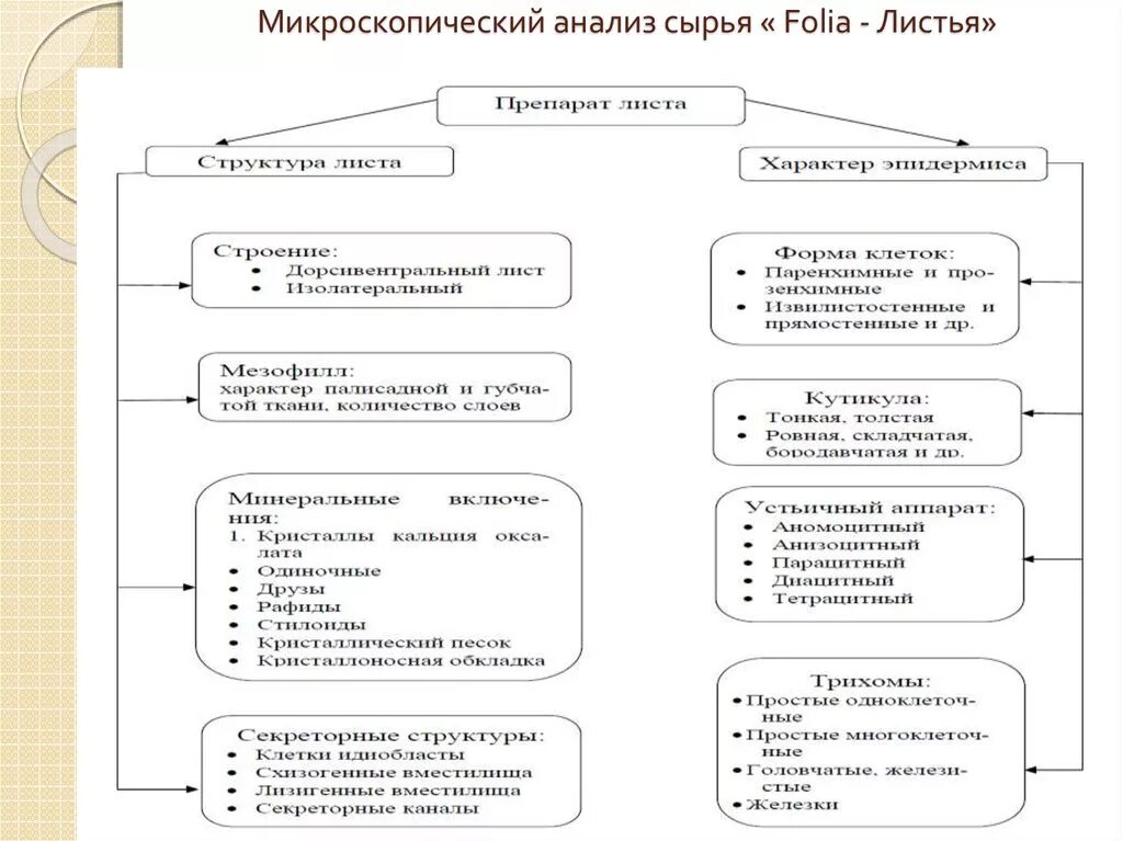 Микроскопический анализ лекарственного растительного