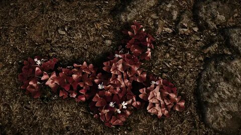 Skyrim plants