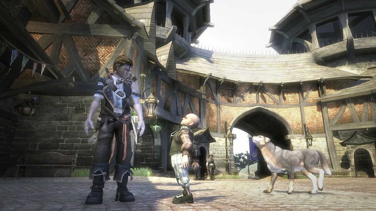 Fable 2. Fable 2 пес. Fable 2 screenshots. Fable 2 на ПК. Fable pc