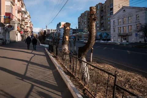 Ничего города
