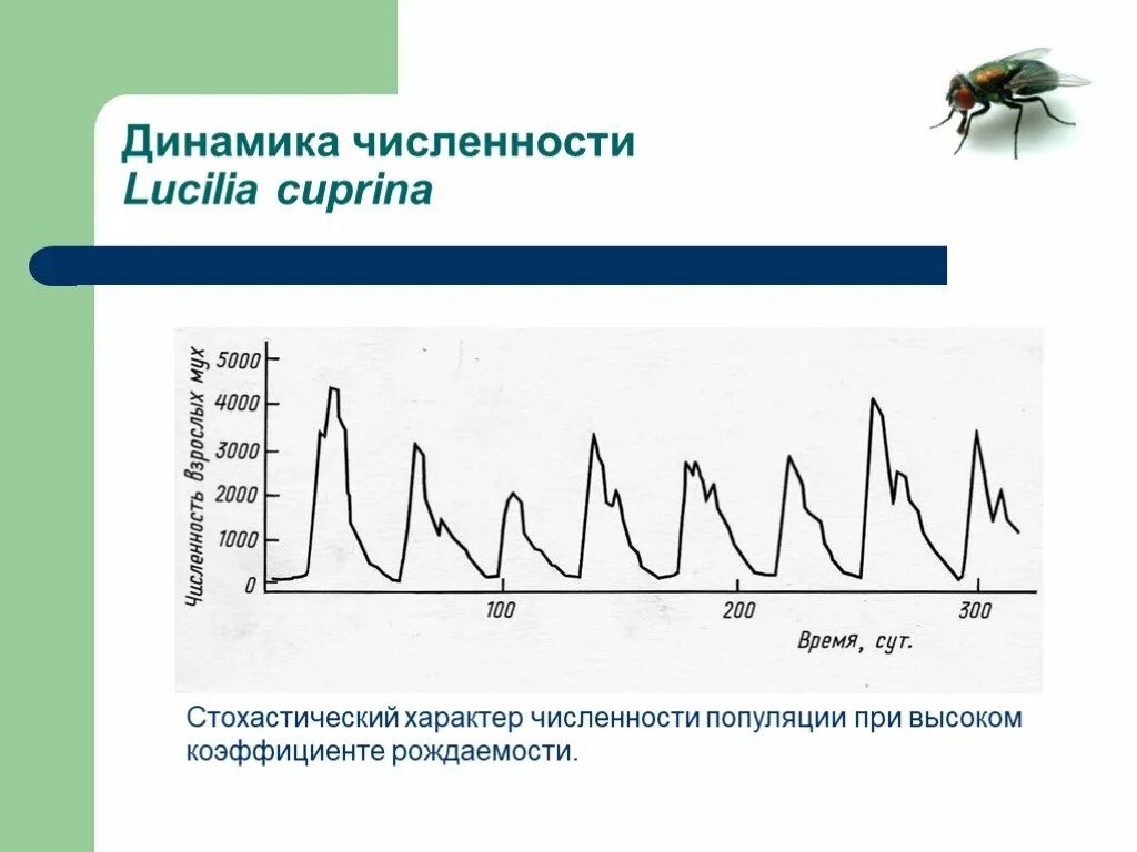 Численность популяции задачи. Динамика численности популяции. типы динамики численности популяции. динамика численности популяции задания. динамики численности популяции рождаемость.