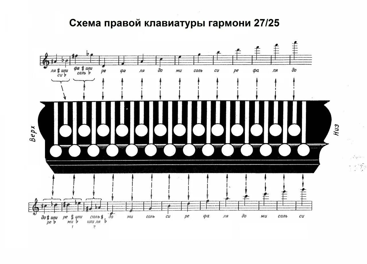 Самоучитель игры на гармошке для начинающих. Раскладка клавиатуры гармони хромка. Правая клавиатура гармони 27х25. Клавиатура гармони Чайка 2. Раскладка клавиш на гармони Чайка 2.