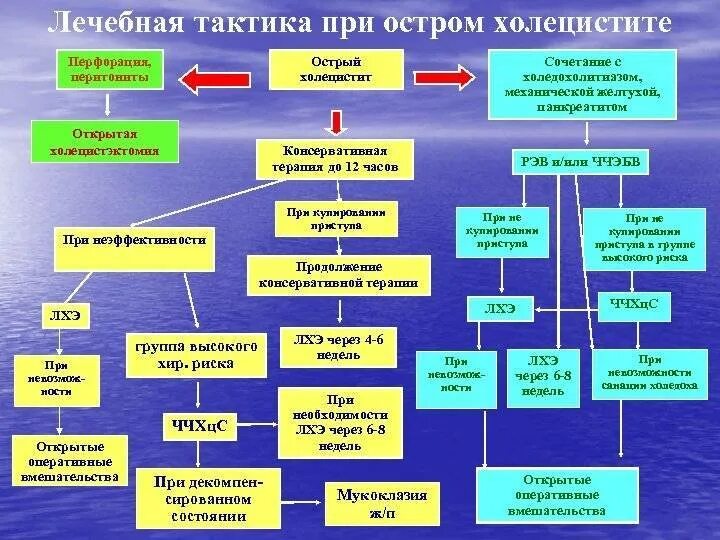 Тактика при холецистите. Тактика ведения больного с острым холециститом. тактика лечения острого холецистита. алгоритм действий при холецистите. тактика введения пациента с холециститом.