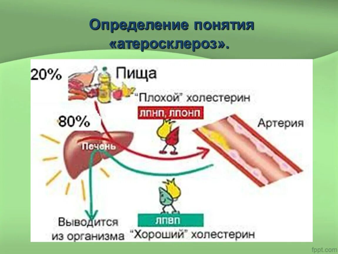 Какой холестерин при атеросклерозе. Понятие плохого и хорошего холестерина. показатели плохого и хорошего холестерина. плохой и хороший холестерол hdl. лпнп что это плохой холестерин.