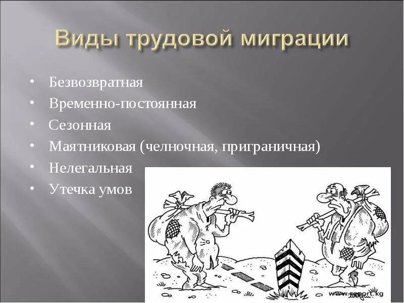 Что такое трудовая миграция каковы ее типы. Функции трудовой миграции. типы трудовых мигрантов. виды миграции трудовая миграция. каковы типы трудовой миграции.