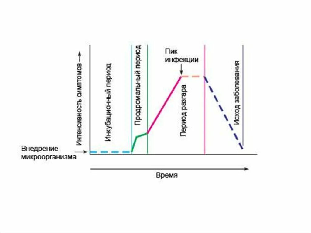 Периоды течения инфекционных заболеваний схема. Периоды течения инфекционной болезни микробиология. Схема периоды развития инфекционных заболеваний. Периоды инфекционного заболевания схема. Последовательность развития инфекционного заболевания