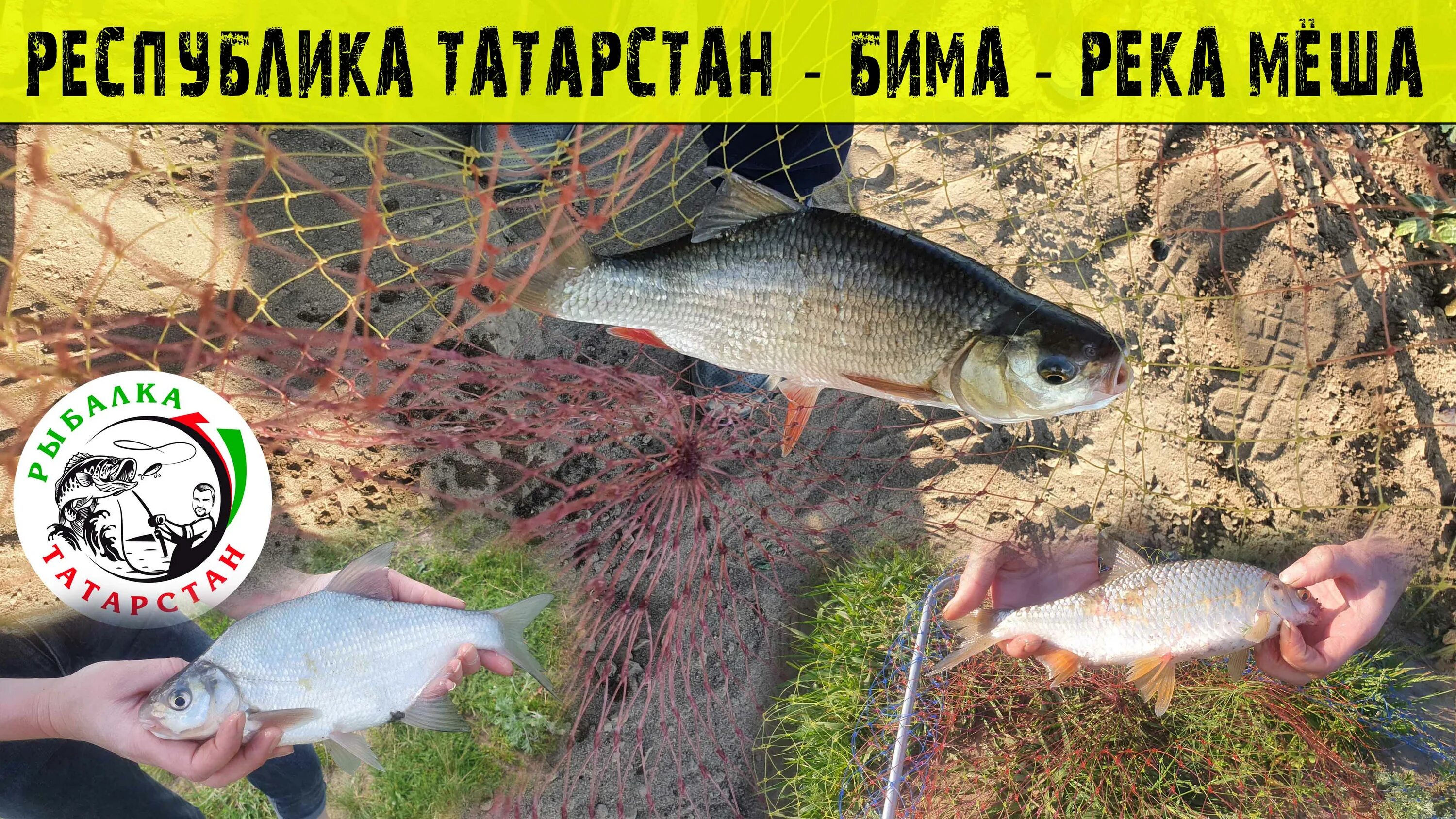 Запрет рыбалки в татарстане в 2024 году. Рыбалка на Меше Казани. Река мёша Татарстан. Рыбы реки белой. Топ 10 лучших мест для рыбалки в Татарстане.
