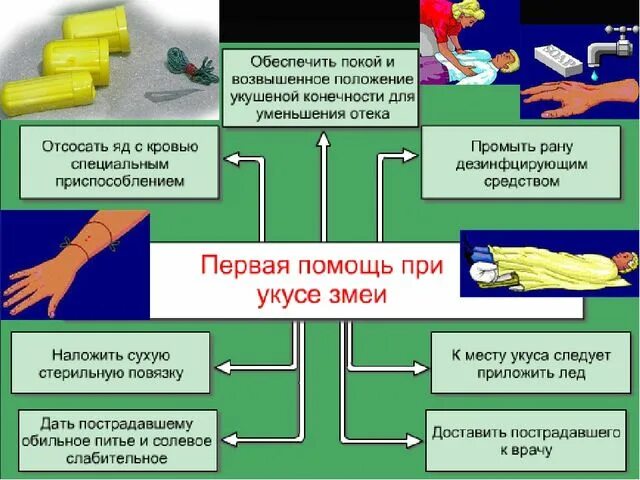 Алгоритм помощи при укусах. Алгоритм действия медицинской сестры при укусе змеи. Первая доврачебная помощь при укусах ядовитых змей. Оказание первой доврачебной медицинской помощи при укусе змеи. Алгоритм действий при укусе ядовитой змеи.