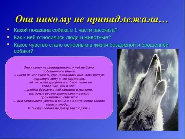 Какие чувства вызывает кусака. Цитатный план рассказа кусака.