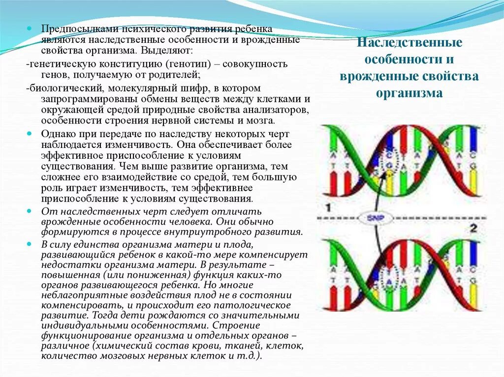 Генетические различия людей. Наследственные особенности развития. Генетические особенности. Генетическое разнообразие. Предпосылками психического развития ребенка являются.